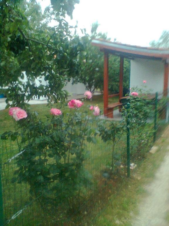 Apartments Miljak ฟาชานา ภายนอก รูปภาพ